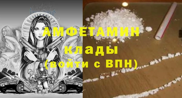ECSTASY Алзамай