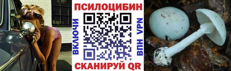 купить закладку  Чадан  Галлюциногенные грибы GOLDEN TEACHER 